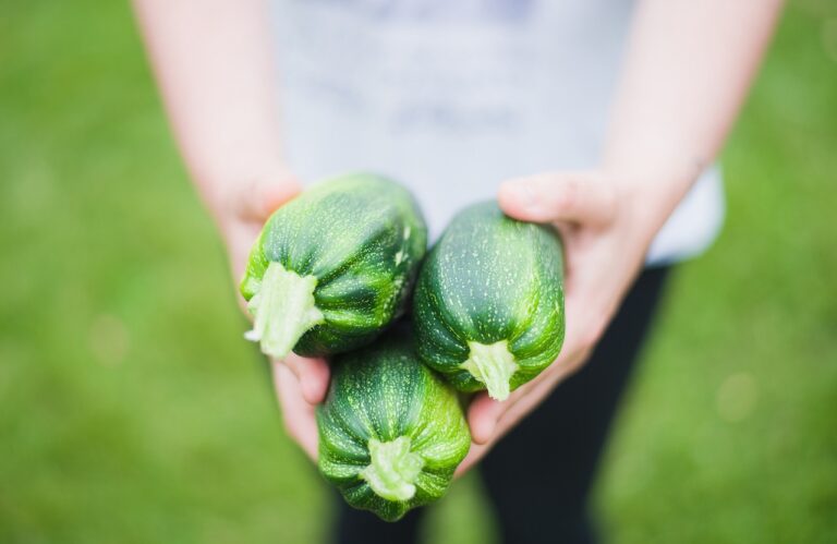 Compra directamente a los agricultores locales que mantienen la calidad de los alimentos orgánicos